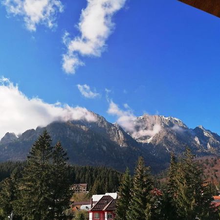 Casa Magica Busteni Luaran gambar