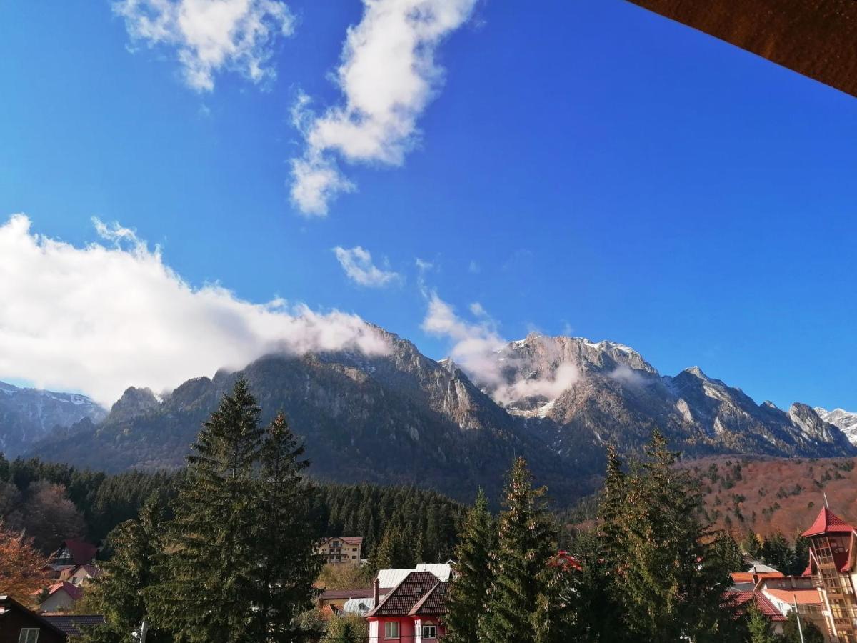 Casa Magica Busteni Luaran gambar