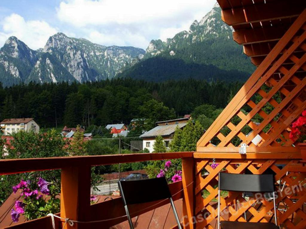 Casa Magica Busteni Bilik gambar